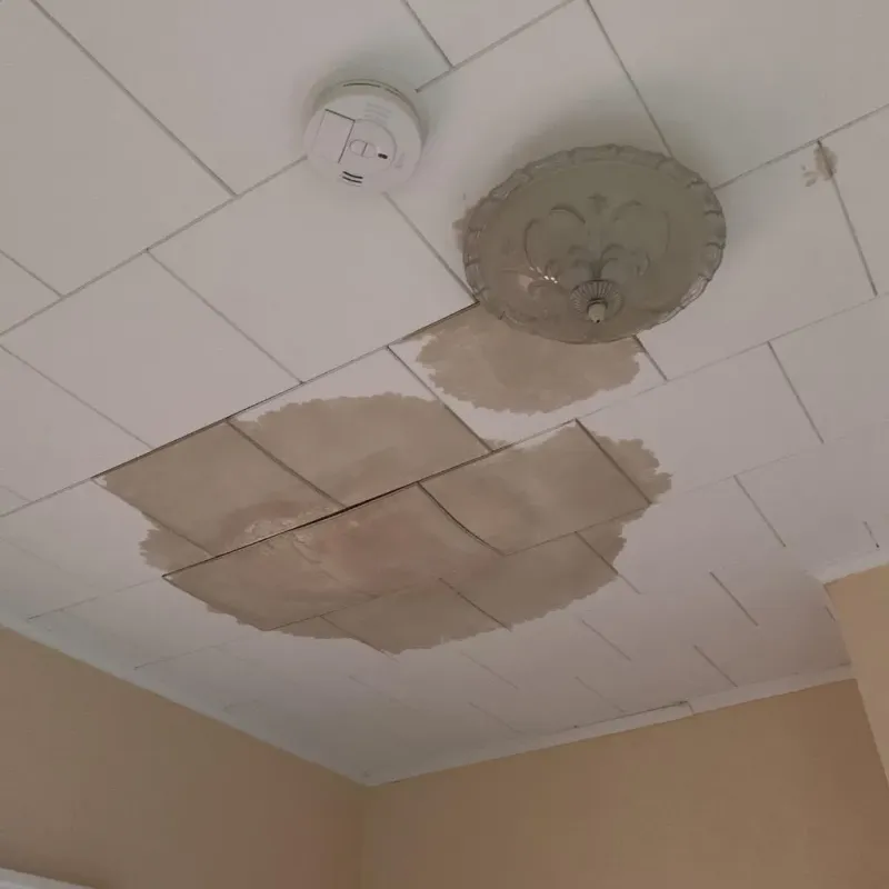 Ceiling Water Damage Repair in New Miami, OH